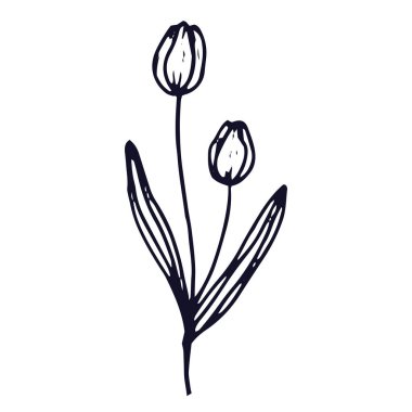 El çizimi düz tasarım. Beyaz arkaplanda basit çiçek çizimi çizimi.