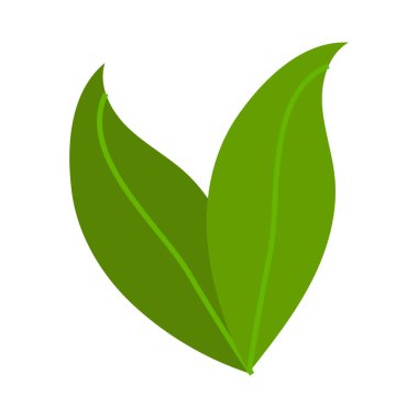 Beyazın üzerindeki yaprağın tasviri