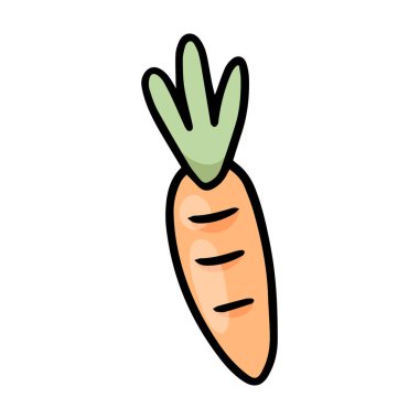 Beyaz arka planda taze havuç sebze çizimi