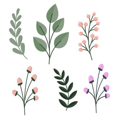 El çizimi Güzel bahar çiçeği illüstrasyon koleksiyonu