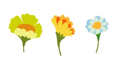 El çizimi Güzel bahar çiçekleri çizimi