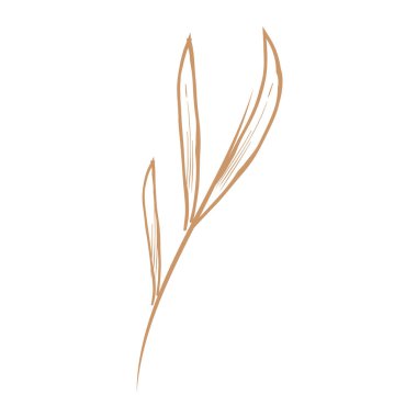 Beyaz arkaplanda el yapımı altın yapraklar izole edilmiş.