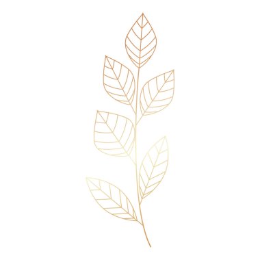 Elle çizilmiş altın yapraklar beyaza izole edilmiş.