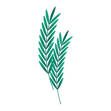 El çizimi çiçek dekoratif elementler