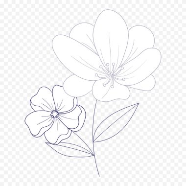 El çizimi bahar çiçekleri çizimi. Çiçek illüstrasyonu