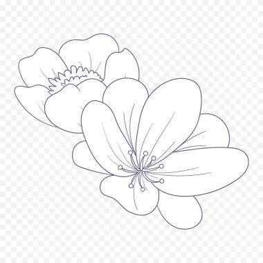 Hand drawn spring flowers illustration. floral illustration clipart