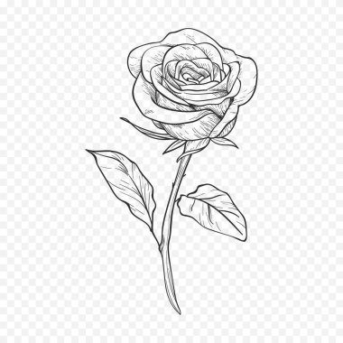 El çizimi bahar çiçekleri çizimi. Çiçek illüstrasyonu