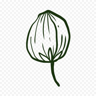 El çizimi bahar çiçekleri çizimi. Çiçek illüstrasyonu