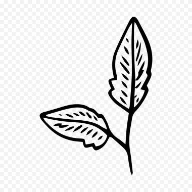 El çizimi bahar çiçekleri çizimi. Çiçek illüstrasyonu