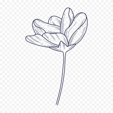 El çizimi bahar çiçekleri çizimi. Çiçek illüstrasyonu