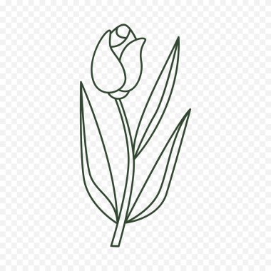 El çizimi bahar çiçekleri çizimi. Çiçek illüstrasyonu