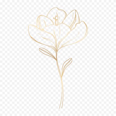 El çizimi bahar çiçekleri çizimi. Çiçek illüstrasyonu