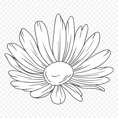 El çizimi bahar çiçekleri çizimi. Çiçek illüstrasyonu