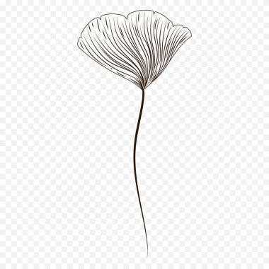 El çizimi bahar çiçekleri çizimi. Çiçek illüstrasyonu