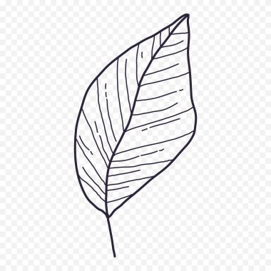 El çizimi bahar çiçekleri çizimi. Çiçek illüstrasyonu