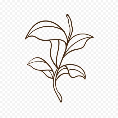 El çizimi bahar çiçekleri çizimi. Çiçek illüstrasyonu