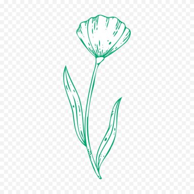 El çizimi bahar çiçekleri çizimi. Çiçek illüstrasyonu