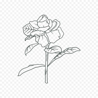 El çizimi bahar çiçekleri çizimi. Çiçek illüstrasyonu