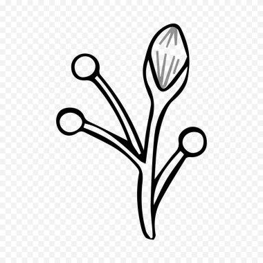 El çizimi bahar çiçekleri çizimi. Çiçek illüstrasyonu