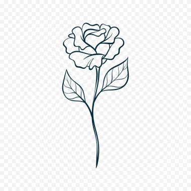 El çizimi bahar çiçekleri çizimi. Çiçek illüstrasyonu