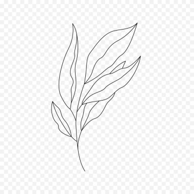 El çizimi bahar çiçekleri çizimi. Çiçek illüstrasyonu