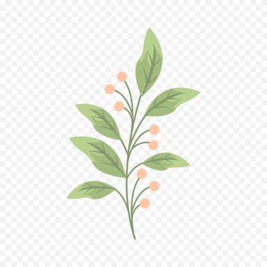 El çizimi bahar çiçekleri çizimi. Çiçek illüstrasyonu