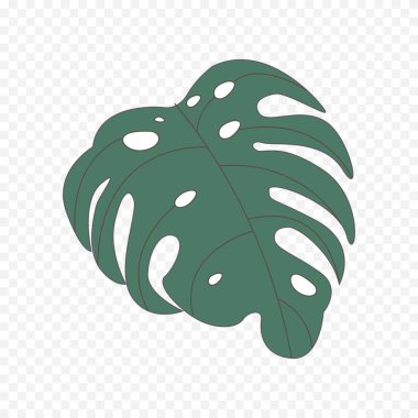 El çizimi bahar çiçekleri çizimi. Çiçek illüstrasyonu