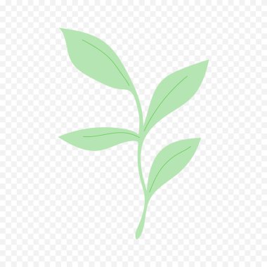 El çizimi bahar çiçekleri çizimi. Çiçek illüstrasyonu