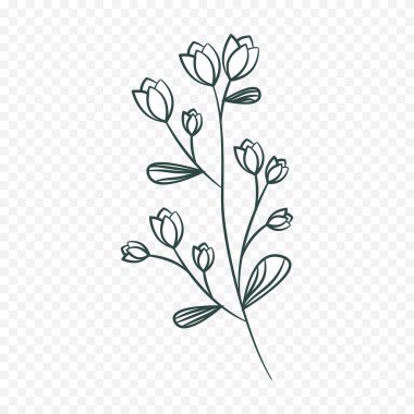 El çizimi bahar çiçekleri çizimi. Çiçek illüstrasyonu