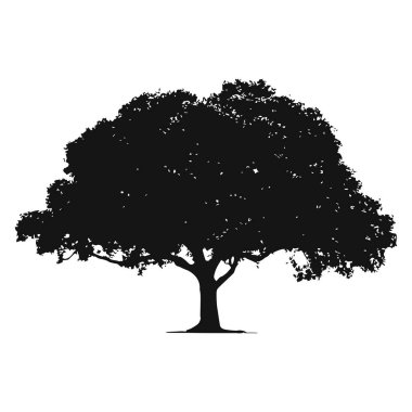 Elle çizilmiş ağaç siluet beyaz arka plan üzerinde