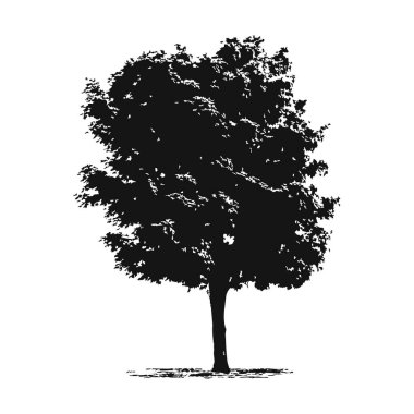 Elle çizilmiş ağaç siluet beyaz arka plan üzerinde