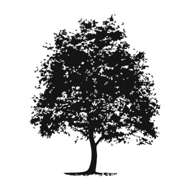 Elle çizilmiş ağaç siluet beyaz arka plan üzerinde