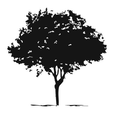 Elle çizilmiş ağaç siluet beyaz arka plan üzerinde
