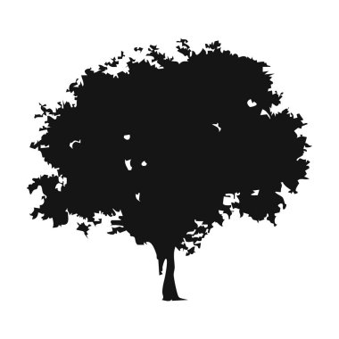 Elle çizilmiş ağaç siluet beyaz arka plan üzerinde
