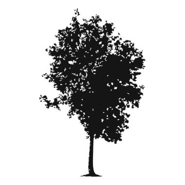 Elle çizilmiş ağaç siluet beyaz arka plan üzerinde