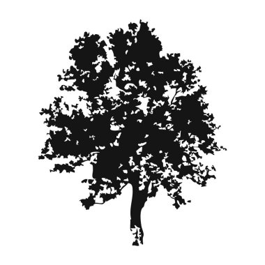 Elle çizilmiş ağaç siluet beyaz arka plan üzerinde