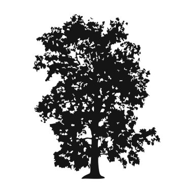 Elle çizilmiş ağaç siluet beyaz arka plan üzerinde