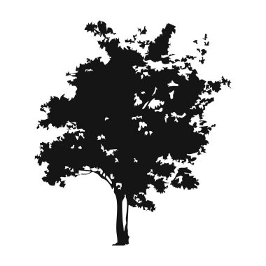 Elle çizilmiş ağaç siluet beyaz arka plan üzerinde