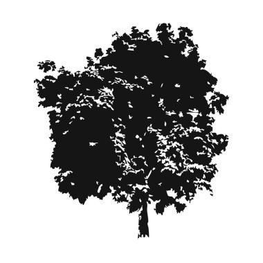 Elle çizilmiş ağaç siluet beyaz arka plan üzerinde