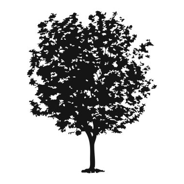 Elle çizilmiş ağaç siluet beyaz arka plan üzerinde