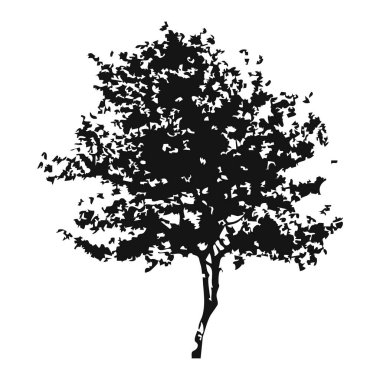 Elle çizilmiş ağaç siluet beyaz arka plan üzerinde