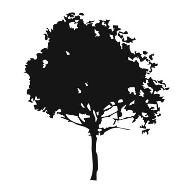 Elle çizilmiş ağaç siluet beyaz arka plan üzerinde