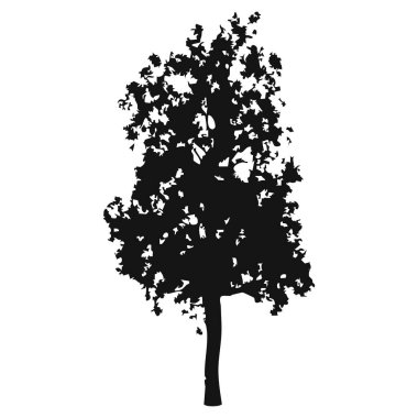 Elle çizilmiş ağaç siluet beyaz arka plan üzerinde