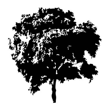 Elle çizilmiş ağaç siluet beyaz arka plan üzerinde