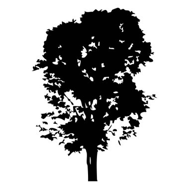 Elle çizilmiş ağaç siluet beyaz arka plan üzerinde