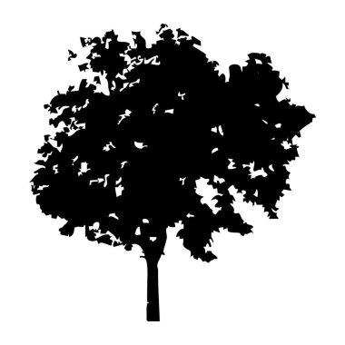Elle çizilmiş ağaç siluet beyaz arka plan üzerinde