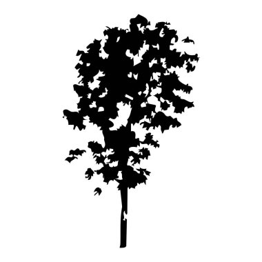 Elle çizilmiş ağaç siluet beyaz arka plan üzerinde