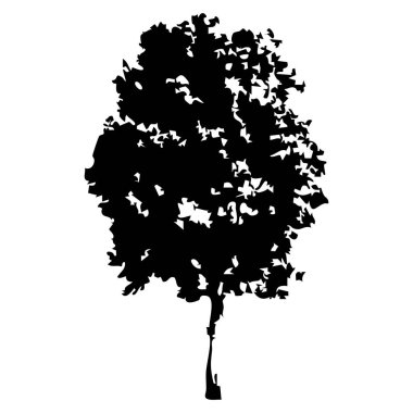 Elle çizilmiş ağaç siluet beyaz arka plan üzerinde