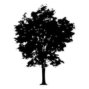 Elle çizilmiş ağaç siluet beyaz arka plan üzerinde