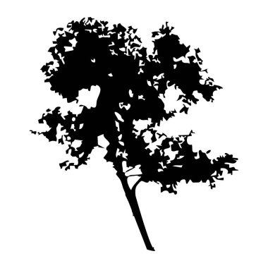 Elle çizilmiş ağaç siluet beyaz arka plan üzerinde